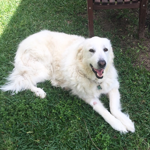 Meet your Posher, LC - Picture 6 of 14